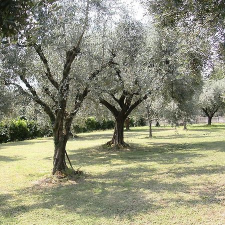 B&B Agli Ulivi Manerba del Garda Eksteriør bilde