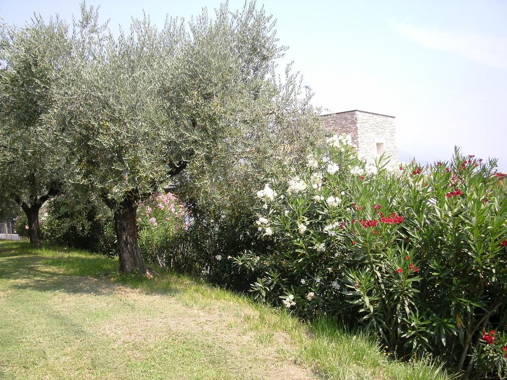 B&B Agli Ulivi Manerba del Garda Eksteriør bilde